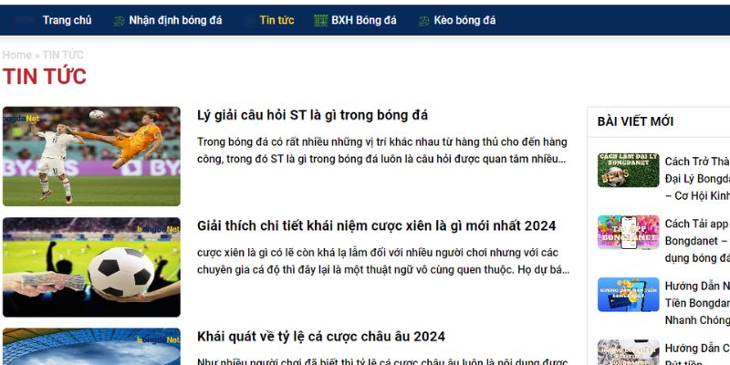 M Bongdanet - Website Bóng Đá Hàng Đầu Tại Việt Nam